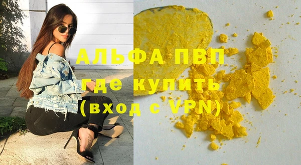 молекула духа Медвежьегорск