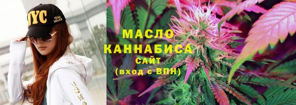 молекула духа Медвежьегорск