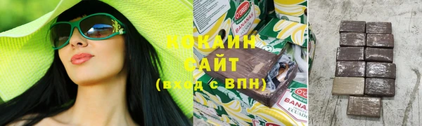 соль курить ск Белокуриха